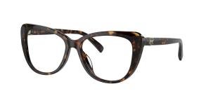 RALPH LAUREN RL6232U 5003 Brille Brown