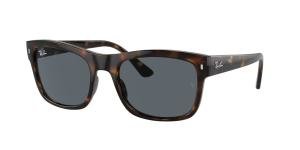 RAYBAN RB4428 710/R5 Brille Multi